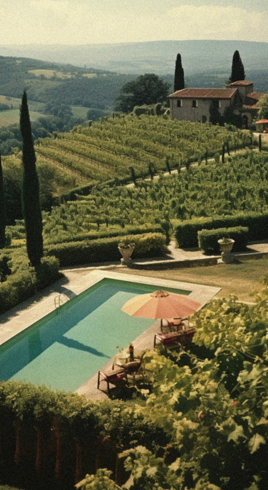 Tuscany - Vineyard Serenity
